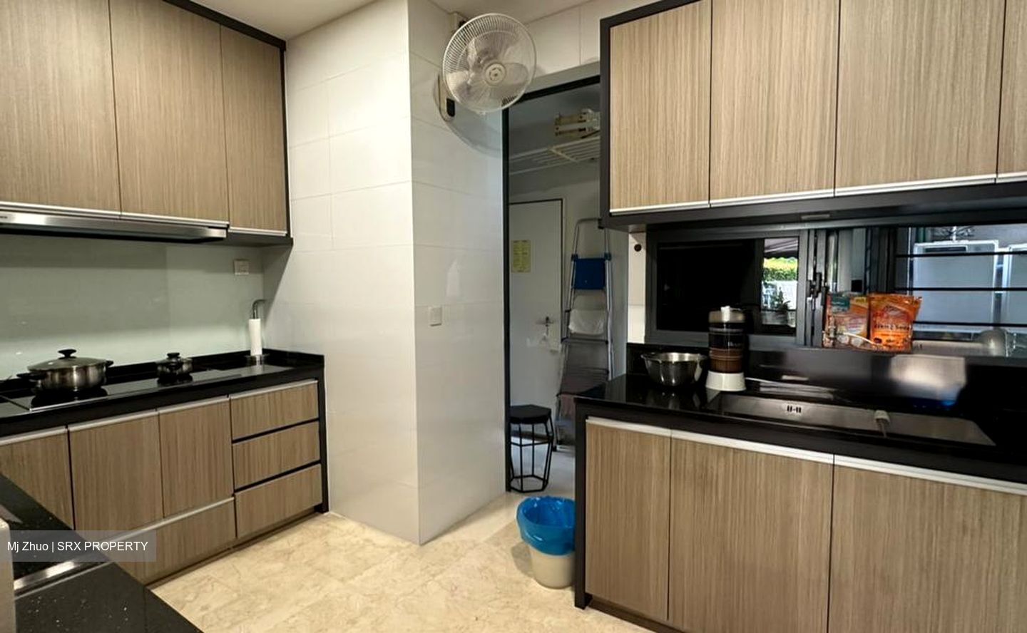 The Trizon (D10), Condominium #558468361